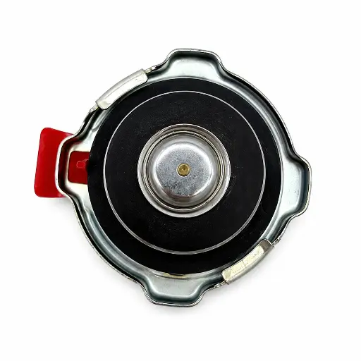 HCC-10382-2.webp