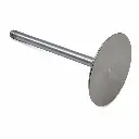 HCC-[12569427] GM INTAKE VALVE-2.webp