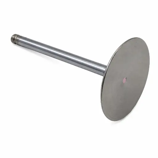 HCC-[12569427] GM INTAKE VALVE-2.webp