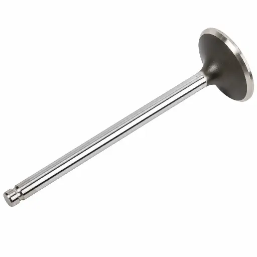 HCC-[12582719] GM EXHAUST VALVE-2.webp