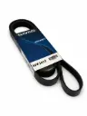 DAYCO POLY RIB BELT