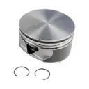 GM PISTON ASSEMBLY