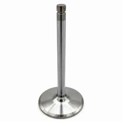 [12569427] GM INTAKE VALVE