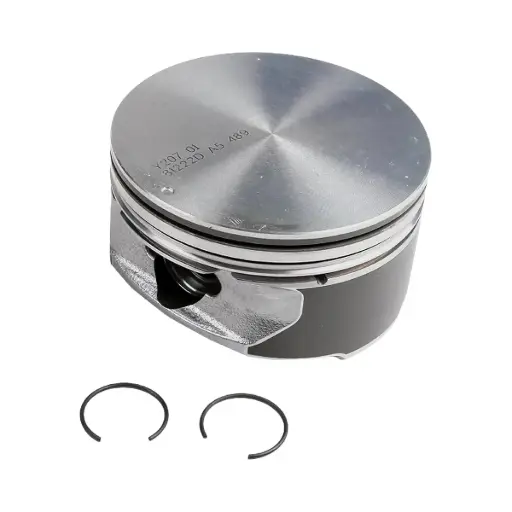 [19207287] GM PISTON ASSEMBLY