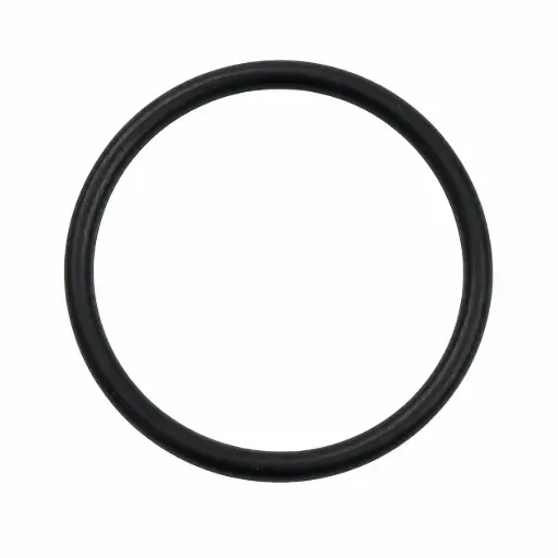 [BS227] FUEL CAP O-RING
